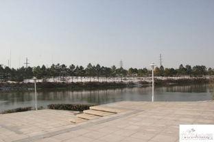 高淳东方曼园爆料最新消息,揭秘项目进展与亮点  第2张